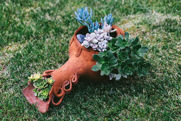 Horizontal top view of vibrant succulent arrangement in cracked terracotta pot on green lawn, expressing earthy calm, rustic charm, self care and natural resilience.
