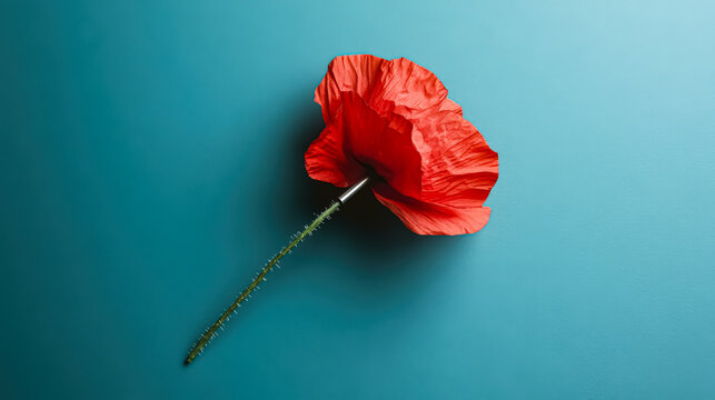 Red flower with a stem is on a blue background. The flower is the main focus of the image, and it is a single petal. The blue background creates a calm and serene atmosphere