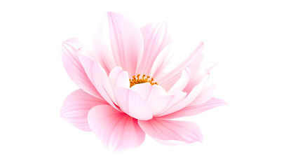 Fototapeta premium Delicate pink Chinese peony in full bloom, isolated on transparent background—perfect for romantic, traditional, or floral-themed designs and artwork.