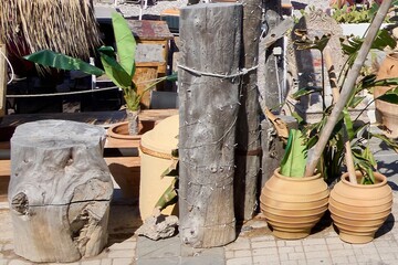 Rustic outdoor decor with potted plants