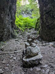 Deep narrow Pokljuka Gorge in Slovenia surrounded by steep cliffs, dense forest, and hiking trails.