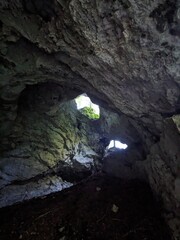 Deep narrow Pokljuka Gorge in Slovenia surrounded by steep cliffs, dense forest, and hiking trails.