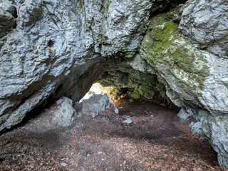 Deep narrow Pokljuka Gorge in Slovenia surrounded by steep cliffs, dense forest, and hiking trails.