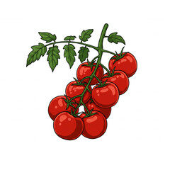 Fresh Cherry Tomatoes on the Vine a Vibrant Scalable Graphic for Food Branding and Design Projects