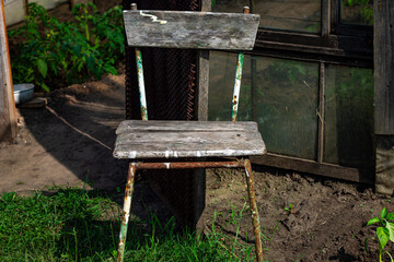 Life’s persistent spirit thrives amidst decay. From a weathered chair to rusted metal, each object tells a vibrant story of resilience and enduring character.
