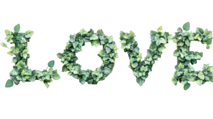 Eternal Embrace: A botanical expression of love, each letter meticulously crafted from verdant leaves, forming a timeless symbol of affection, devotion, and organic connection.