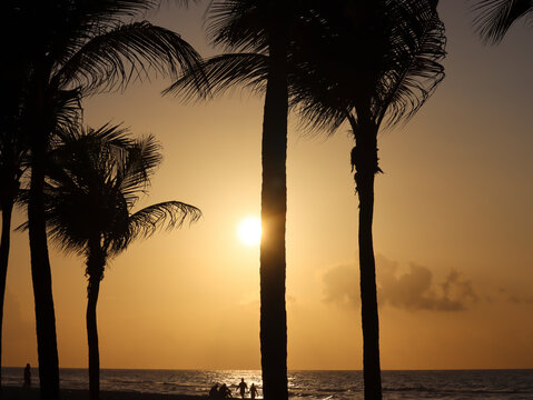 Die Sonne &uuml;ber Mexico