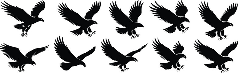 Eagle silhouette collection, flying bird vector, raptor in attack pose, black hawk graphic, predatory bird clipart,