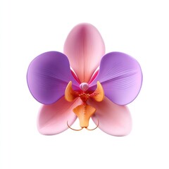 Fototapeta premium Orchid flower orchid design art.