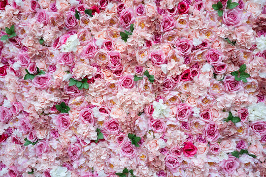 Abstraction of rose flowers background