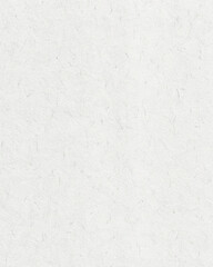 Obraz premium White Recycled Paper Texture with Subtle Fibers and Natural Surface Grain