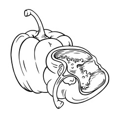 Whole and half sweet bell pepper. Hand-drawn vector illustration of paprika, isolated on white background. Perfect for food design, packaging, and recipe decoration.