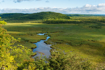 釧路湿原。コッタロ湿原展望台。日本最大の湿原・湿地。面積は約2万6000haで、このうち中心部の7863haがラムサール条約登録湿地。