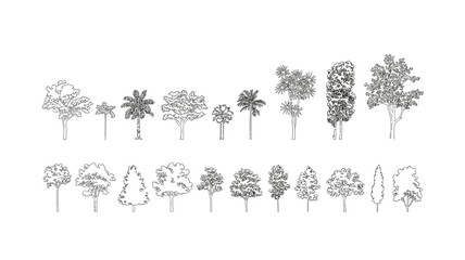 Outline Illustrations of Tropical and Deciduous Trees