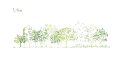 Obraz premium Green Line Drawing Forest Graphic Design Illustration