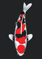 vector illustration of koifish
