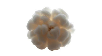 Photo of white fluffy cotton ball isolated on transparent background.pngs