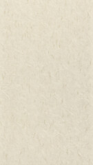 Fototapeta premium Beige Recycled Paper Texture with Natural Fibers for Eco Design Projects