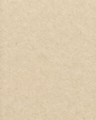 Obraz premium Beige Recycled Paper Texture with Natural Fibers for Eco Design Projects