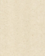 Beige Recycled Paper Texture with Natural Fibers for Eco Design Projects
