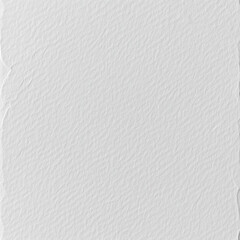 Elegant White Paper Texture Background