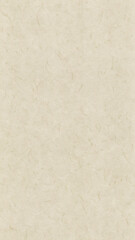 Obraz premium Beige Recycled Paper Texture with Natural Fibers for Eco Design Projects