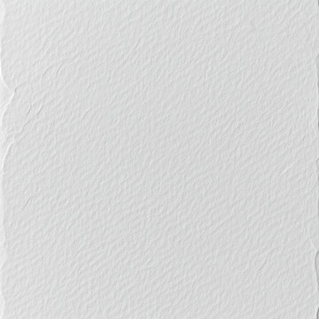 Elegant White Paper Texture Background