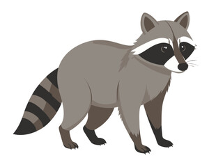 Fototapeta premium Szop pracz ilustracja wektorowa