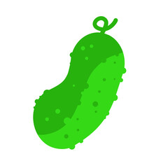 Cucumber - vector illustration
