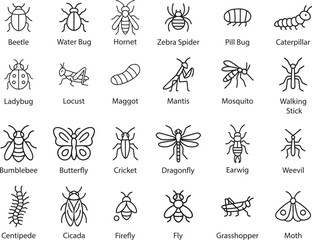 Insects Outline Icons Set, Vector Illustration