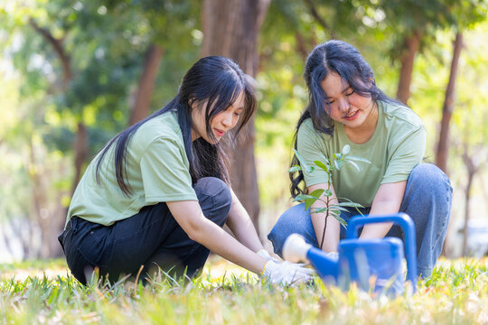 Young Asian Women Planting Tree in Park for Environmental Conservation, Two Friends Volunteering to Plant Sapling, Green Environment Project, Female Volunteers Caring for Nature, Reforestation Effort