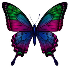Vivid Multi-Colored Butterfly with Green, Pink, and Blue Hues, Perfect for Nature and Eye-Catching Designs