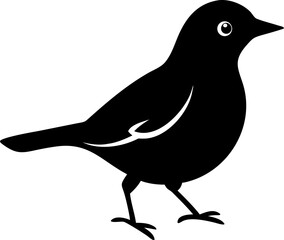 Fototapeta premium Silhouette of a american robin silhouette of a small bird with a round body and a short beak pose
