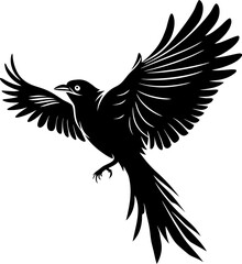 Obraz premium Silhouette of a american robin outline drawing of a bird with wings spread on a Transparent Background