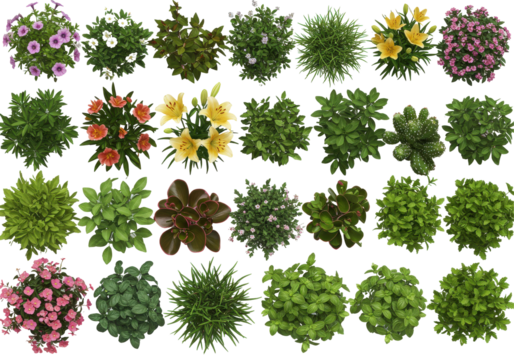 A vibrant collection of assorted flowers and plants arranged in a grid layout, showcasing various colors and textures, ideal for gardening or floral design inspiration