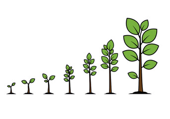 Fototapeta premium Growth stages of plants showing varying heights and leaf sizes, symbolizing development
