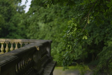
stone balustrade near trees in the park