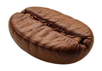 Close-up of a single coffee bean showcasing its rich texture and natural sheen