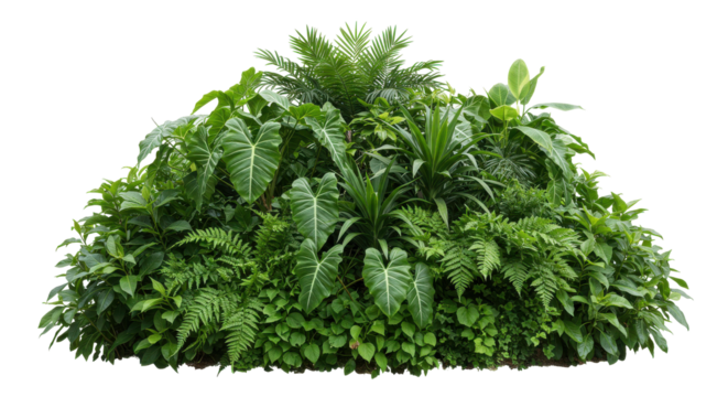 Lush tropical foliage cluster showcasing vibrant green plants in a natural setting