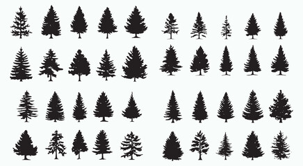 Fototapeta premium Black Silhouettes of Various Christmas Trees on White
