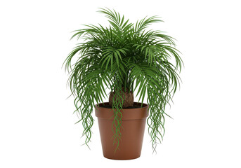 Obraz premium Lush indoor potted plant with vibrant green leaves enhancing a cozy living space