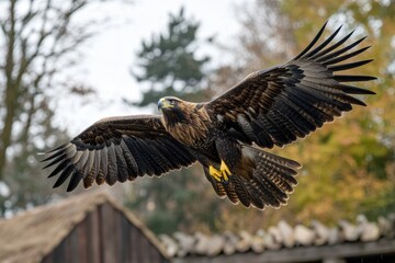 Obraz premium Golden eagle flying with fully open wings on blurry foliage background. Perfect for illustrating freedom, power, and the beauty of wild animals.