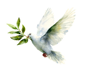 Watercolor Dove of Peace with Olive Branch - Symbol of Hope and New Beginnings