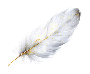 Elegant White Feather with Gold Accents on White Background - Isolated, Delicate, Artistic