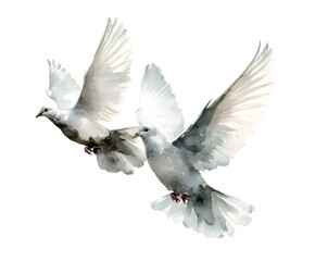 Watercolor Painting of Two White Doves in Flight - Symbol of Peace and Hope, Isolated on White Background