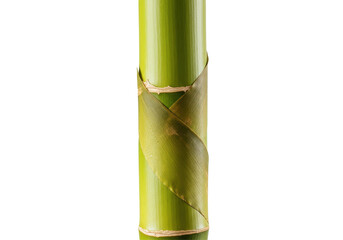 Fototapeta premium Vertical arrangement of bamboo stalks with natural green hues against a plain background