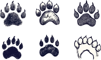 Fototapeta premium Set of six bear paw prints vector illustration isolated on white background hand drawn sketch style design element for logo emblem poster print textile or web design
