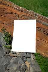Mockup of A4 sheet of paper on tree trunk bark with green leaves and stones. Soft diffused focus. Branding Poster for branding, blank with space for text, presentation template