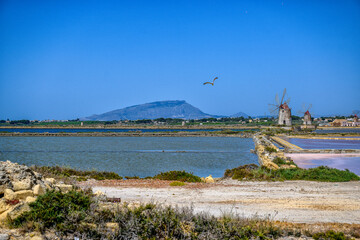 Fototapeta premium Saline di Marsala - Sicily