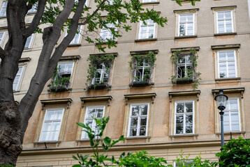 Beige residential building with green plants on windows and tree in foreground